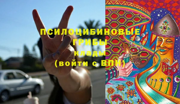 винт Богданович